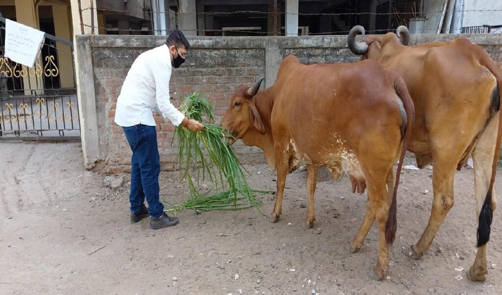 હર્ષિલ દવે