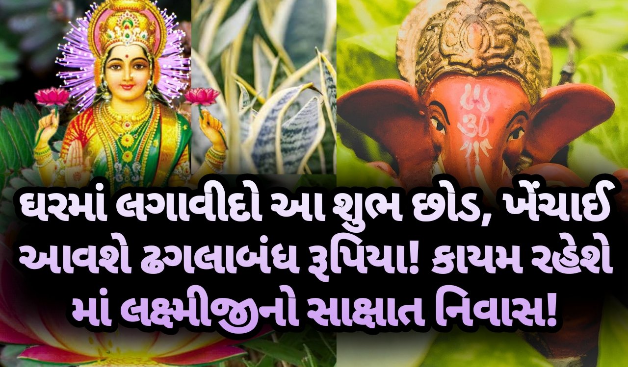 છોડ, jansad