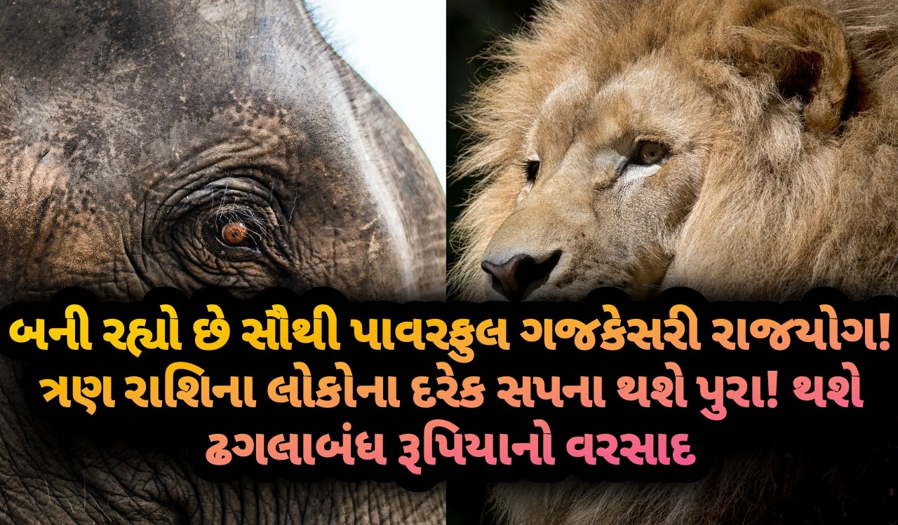 ગજકેસરી, jansad