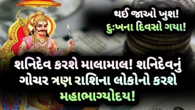 શનિદેવ, jansad, the jansad, news, gujarati news, news gujarati, gujarat, gujarati, astrology, breaking news