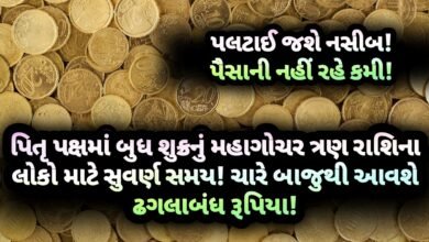 પિતૃપક્ષ, પિતૃ પક્ષ, jansad, the jansad, જનસદ,