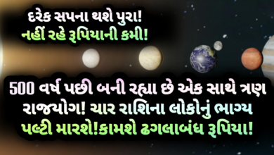 રાજયોગ, jansad, the jansad, news, breaking news, gujarat, Gujarati