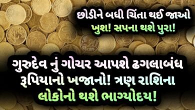 ગુરુદેવ, jansad, the jansad, jansad gujarati, jansad gujarat, news, gujarati news, jansad gujarati news