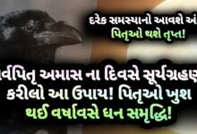 અમાસ, સર્વ પિતૃ અમાસ, Gujarati, gujarat, jansad, news