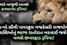 ગજકેસરી, ગજકેસરી રાજયોગ, jansad, gujarat, gujarati, news, gujarat news, gujarati news