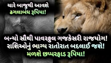 ગજકેસરી, ગજકેસરી રાજયોગ, jansad, gujarat, gujarati, news, gujarat news, gujarati news