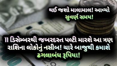 ડિસેમ્બર, jansad, gujarati news, news,